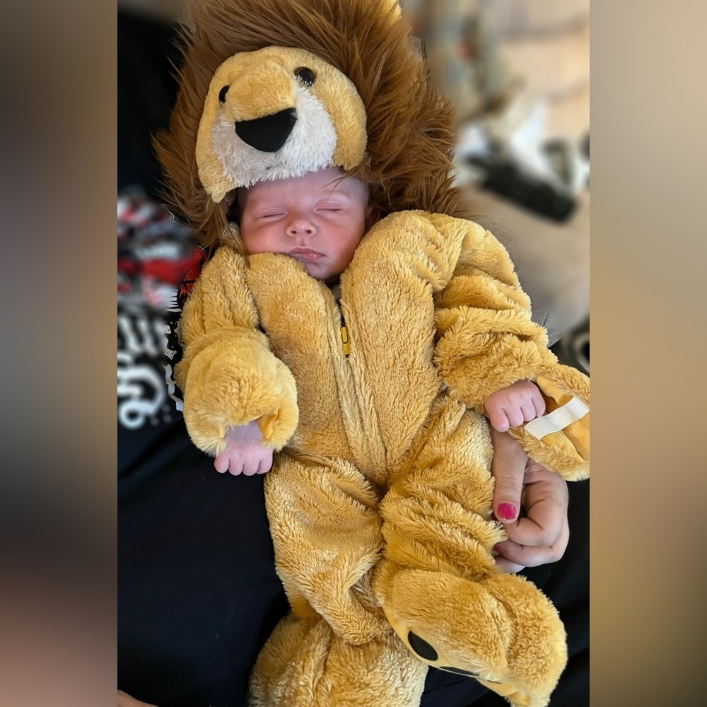 🦁 Baby Lion Costume – 6–9 Month